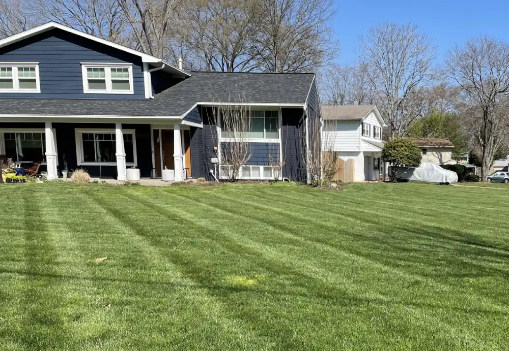 lawn after