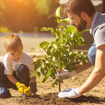 father helping son plant a plant