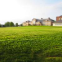 Healthy, green lawn