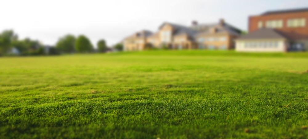 Healthy, green lawn