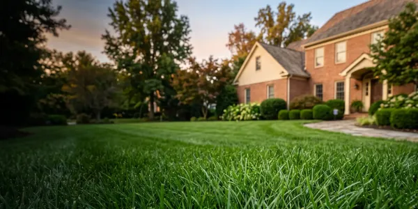bermuda grass infront of home