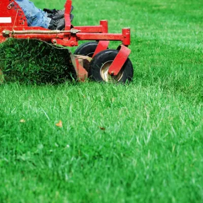 grass being mowed